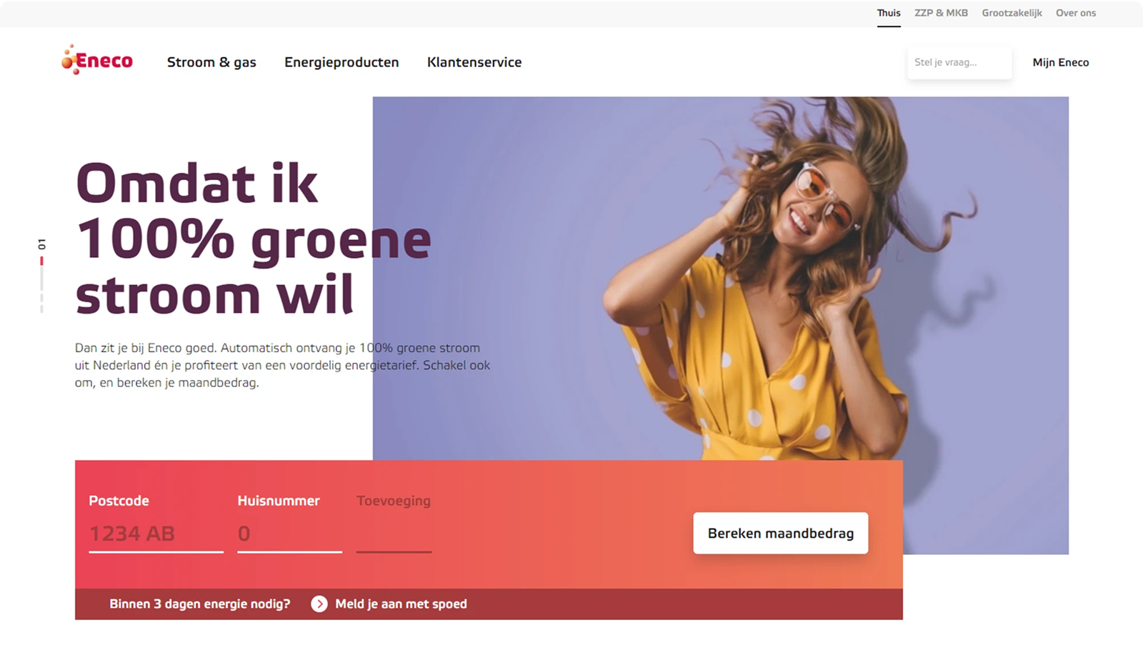 Eneco website concept with energy form
