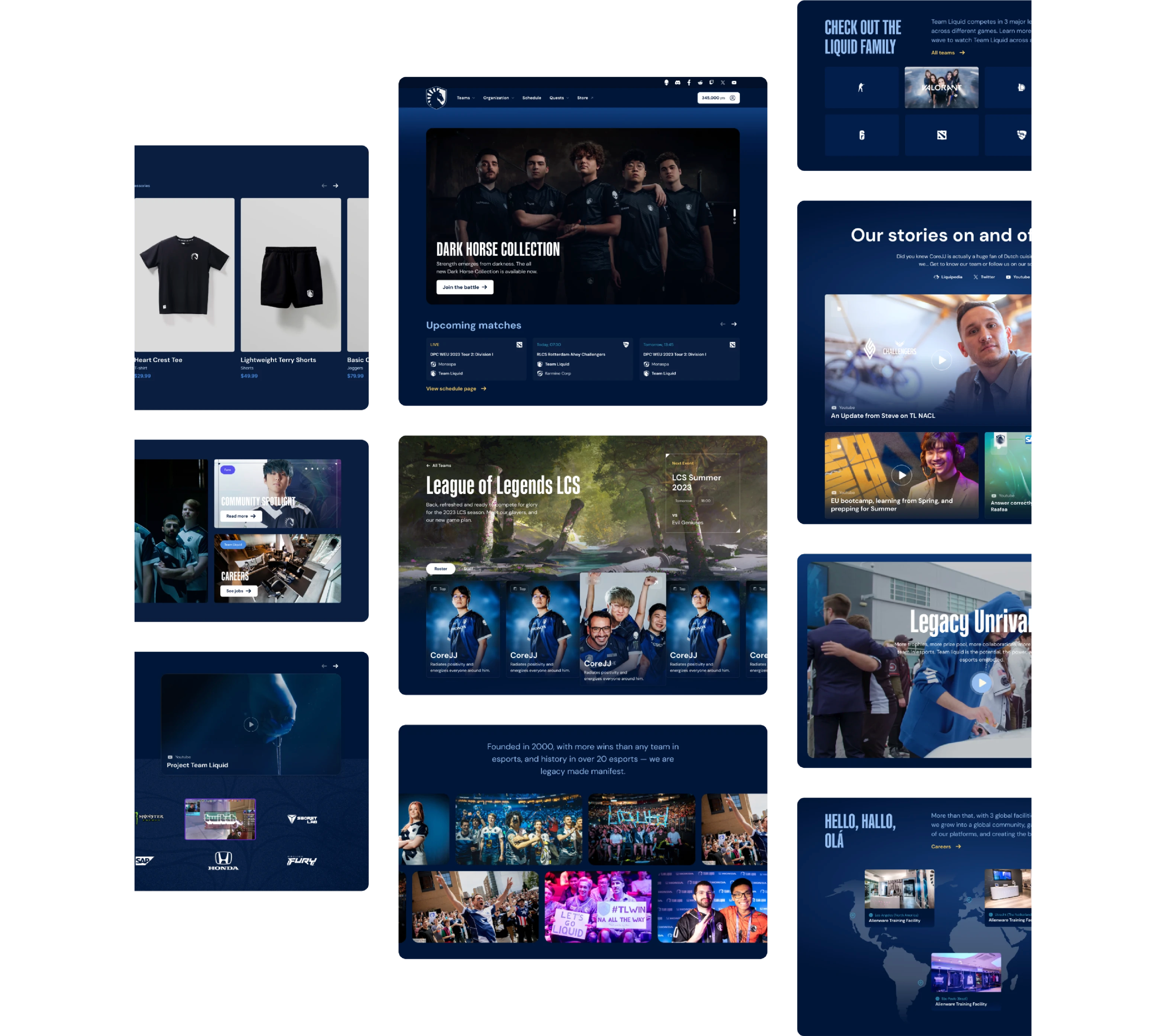 Team Liquid Fanhub design system screens